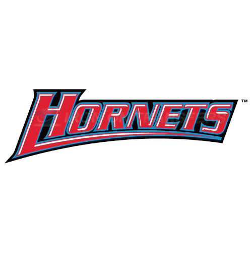 Delaware State Hornets Iron-on Stickers (Heat Transfers)NO.4249